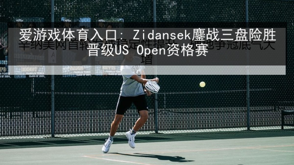 爱游戏体育入口: Zidansek鏖战三盘险胜晋级US Open资格赛