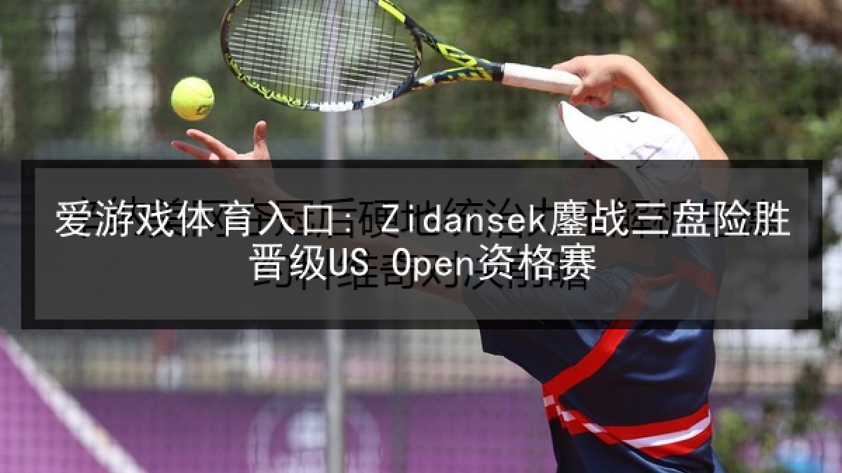 爱游戏体育入口: Zidansek鏖战三盘险胜晋级US Open资格赛