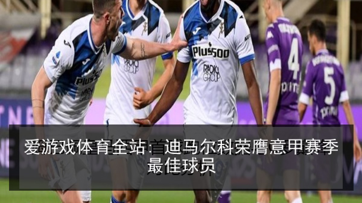 爱游戏体育全站: 迪马尔科荣膺意甲赛季最佳球员