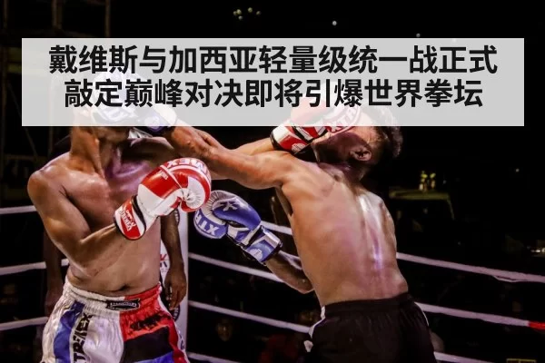 boxer training gloves